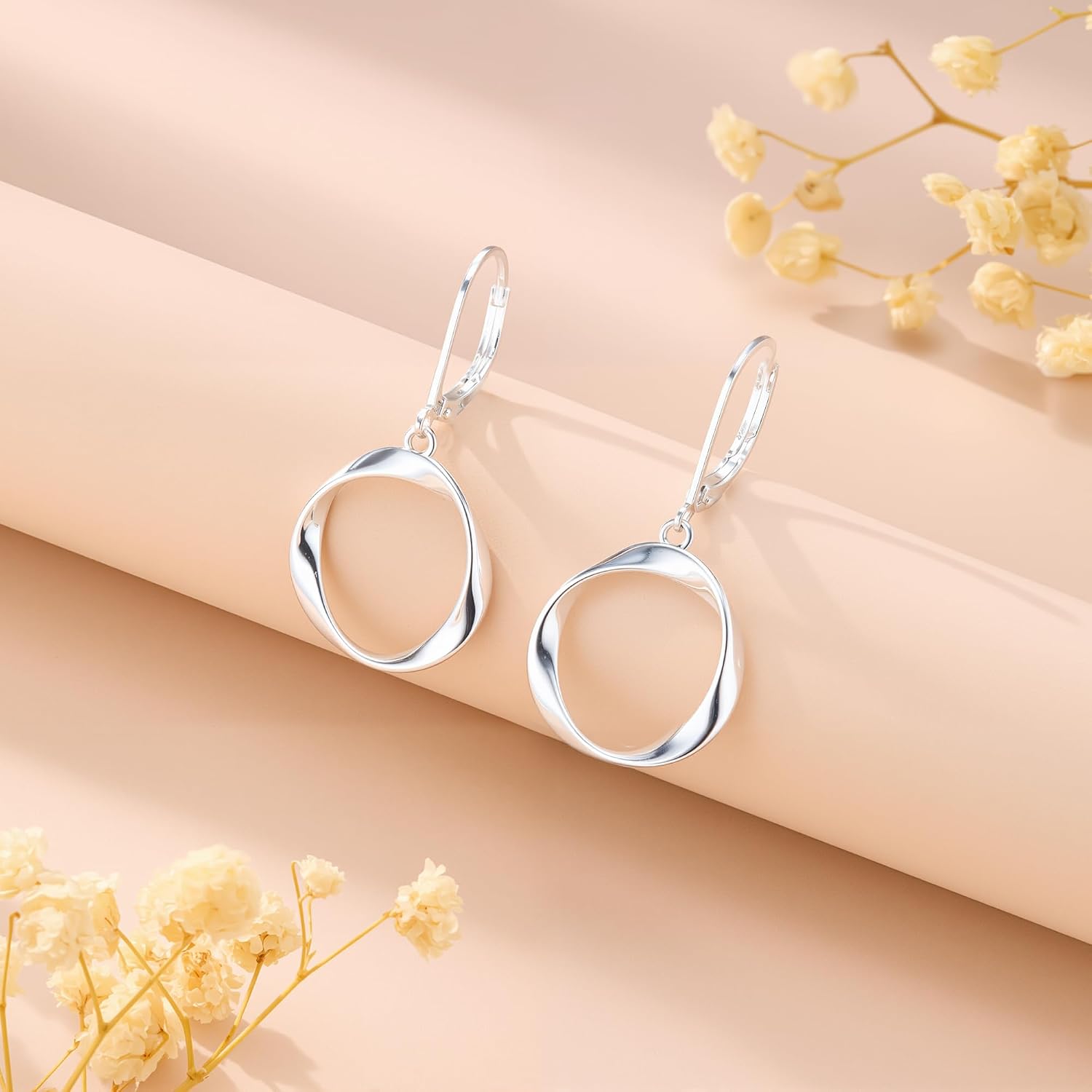 #20 Round Twist Dangle Earrings for Women Circle Drop Earings