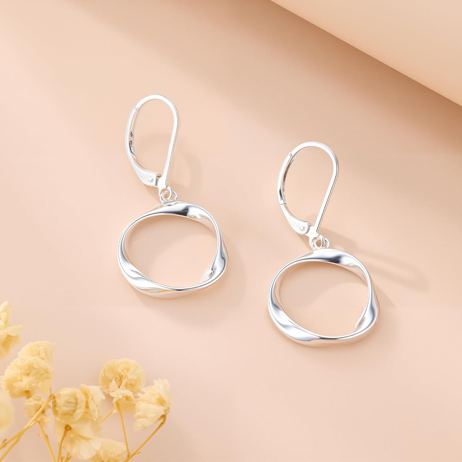 #20 Round Twist Dangle Earrings for Women Circle Drop Earings